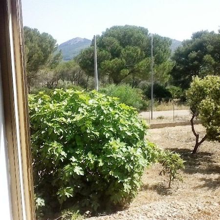 לינה וארוחת בוקר פורטו קונטה Privacy & Relax In Sardegna מראה חיצוני תמונה
