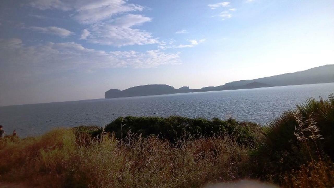 לינה וארוחת בוקר פורטו קונטה Privacy & Relax In Sardegna מראה חיצוני תמונה